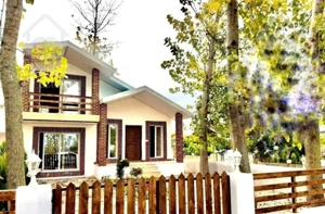 ویلانیم پیلوت(270متری)/سند تک برگ/جنگلی