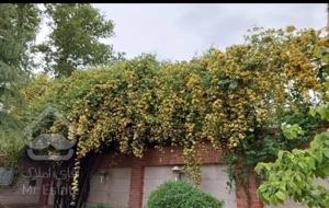 ازگل.فروش آپارتمان۶۵متر.۲خوابه یک مستر+۲۵متر پاسیو