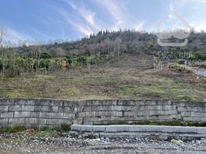 زمین جهت شهرک سازی 4200 متر عباس آباد