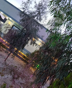 ویلا باغ خوشکل کد55