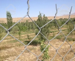 ۳۰۰۰ متر زمین در  منطقه فیروزکوه.