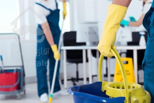 کلیه امور نظافت منزل و محل کار.