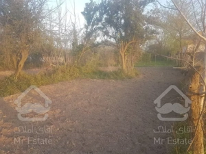 زمین نزدیک دریا