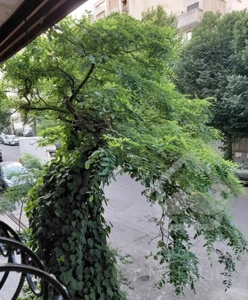 شدیدزیرقیمت/۱۳۵متر/قابل سکونت/درشُرف مشارکت/دادمان