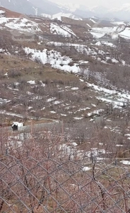 فروش  زمین بین راحت آباد و امامه ۵۰۰ متر