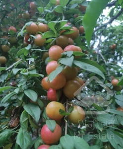 فروش خانه ویلایی ۱۶۰ متری ۳ خوابه