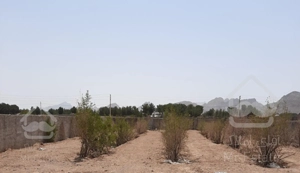 1000 متر، مرق، فقط یک پلاک باقی مانده