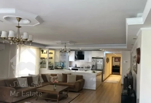 فروش 254 متر در نیاوران