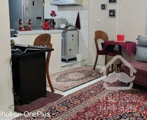 واحد نقلی ۴۳متری