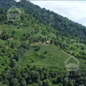 ثبت نا‌م واحد۱۶۰متر دریاچه/بهترین سرمایه گذاری در قطب گردشگری پایتخت