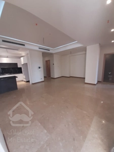 فروش 195 متری دولت