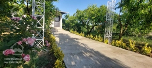 خونه باغ ۵۰۰ متری جاده دریا