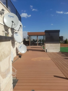 زندگی در آرامش یعنی رونیکاپالاس نیایش