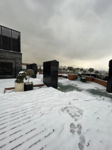 مشارکت در ساخت در 116 متر در رونیکا پلاس لاله