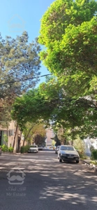 کلنگی یک از دو فروشی