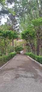 کلنگی ۲۲۵ متر حکیمیه