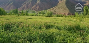 زمین کشاورزی ۵۰۰۰ متر