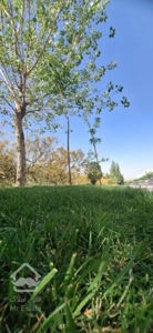 فرو ش سه دانگی حکیمی