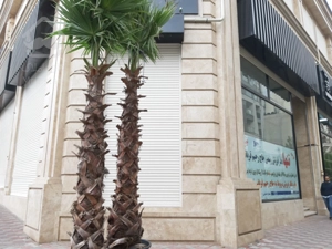 اجاره مغازه در رونیکا مال هروی با 3 ماه تنفس