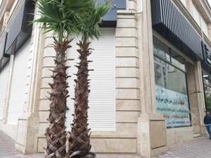 فروش مغازه 56 متری در رونیکا پالاس هروی مناسب همه مشاغل