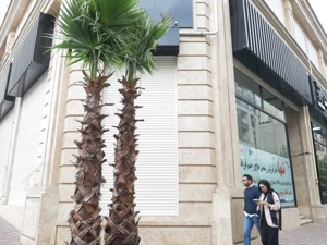 اجاره مغازه در رونیکا مال هروی