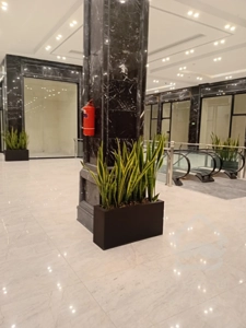 اجاره مغازه دوبر و پاخوردار  در بهترین نقطه طبقه همکف رونیکامال