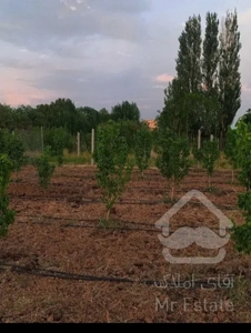 فروش باغ کشاورزی