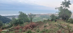 فروش زمین خارج از بافت