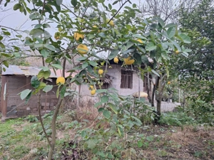 فروش زمین مسکونی تالش