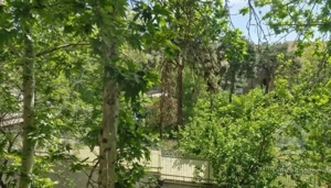 ۹۱ متر خاص، با نور و ویو باغ، واحدی استثنایی