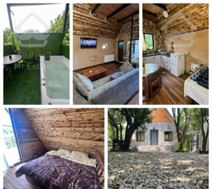 اجاره کلبه سوئیسی «VIP»