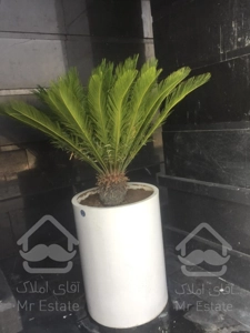 واحدهای  ۴۰ متری / اقساطی