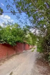 ویلا ۲۵۰ متری قواره۲جنگل سکونت دائم با سند تک برگ