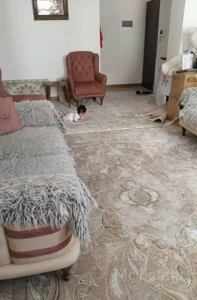 اجاره آپارتمان۹۸متری۲خوابه در فاز۴شمالی میثم نهاجا