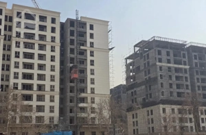 سهام رونیکا نگین پیروزی