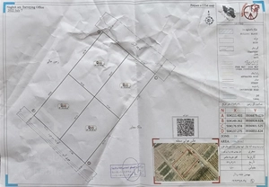 زمین کشاورزی سند ششدانگ