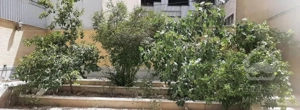 پلاک ۳۰۲ متری مشتاق مهر