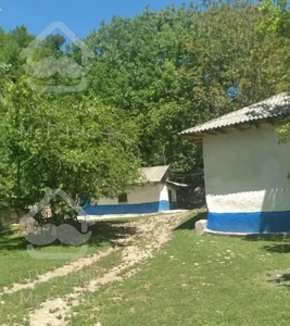 اجاره ویلا باغ سنتی،جنگلی،کوهستانی در روستای ارده