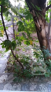 فروش اپارتمان 2 خوابه در سیدخندان