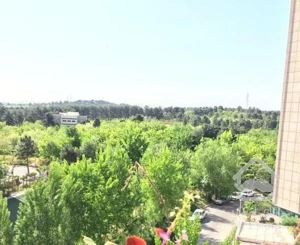 دو قدمی دریاچه / سند تک برگ / تراس قابل چیدمان