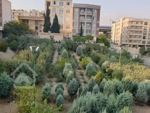 فروش 85 متر قیطریه