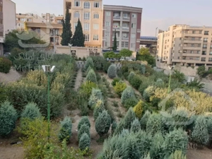 رهن و اجاره 450 متر مستغلات دولت