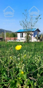 اجاره کلبه جنگلی در قلب جنگل