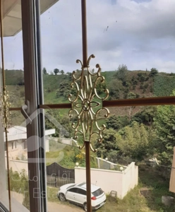 ویلای جنگلی سند تک برگ / مالک هستم