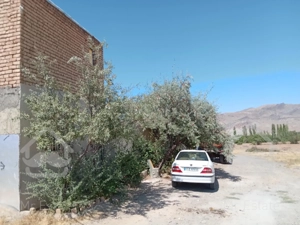 دامداری ۱۰۰ راسی بره جاده  استان مرکزی تفرش