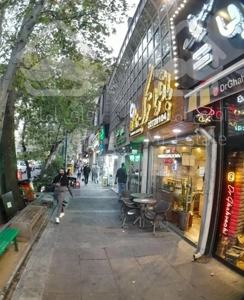 *تجریش + باغ فردوس* 58 متر کفی با پاخور توپ