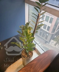 ۱۰۴ متر دروس