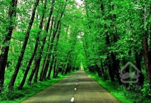 ویلا و زمین 200 متری در پلاک یک جنگل و ساحل