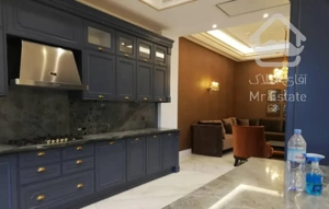 تک واحدی 231متری // لوکیشن تاپ منطقه