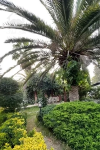 ویلا باغ 450 متری چسبیده به مشاعات شهرک دریاکنار